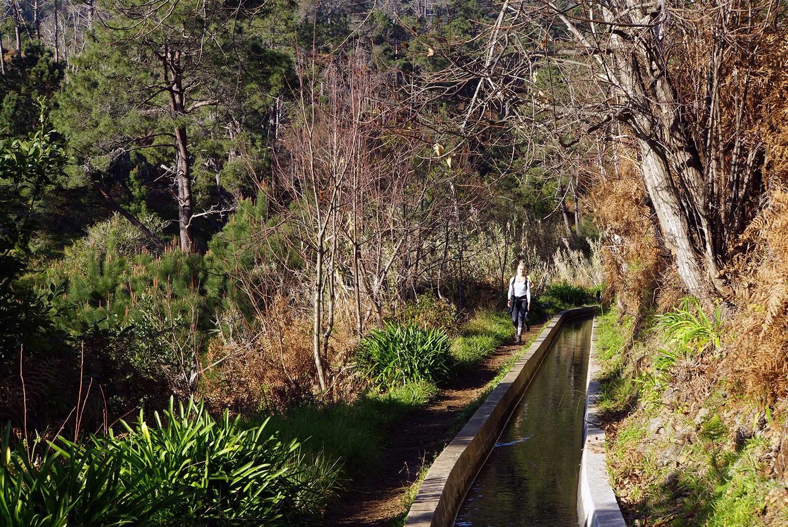 LEVADA DA CALHETA PRAZERES
