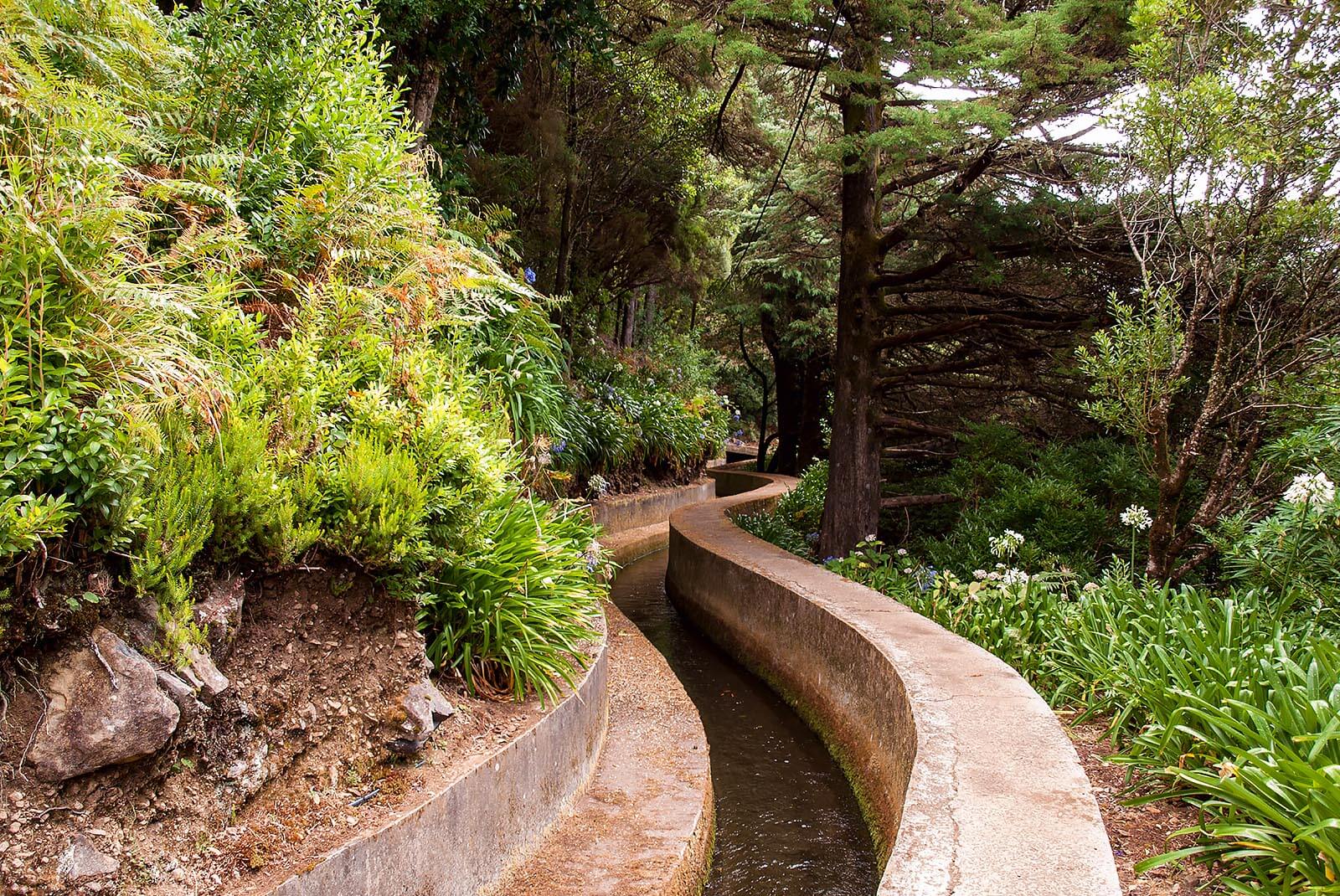 LEVADA DO PINÁCULO E FOLHADAL