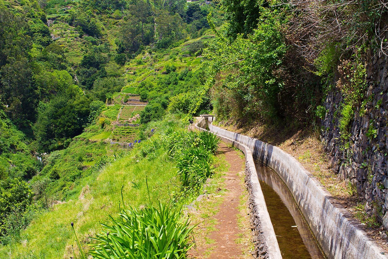 LEVADA DA RIBEIRA DA JANELA