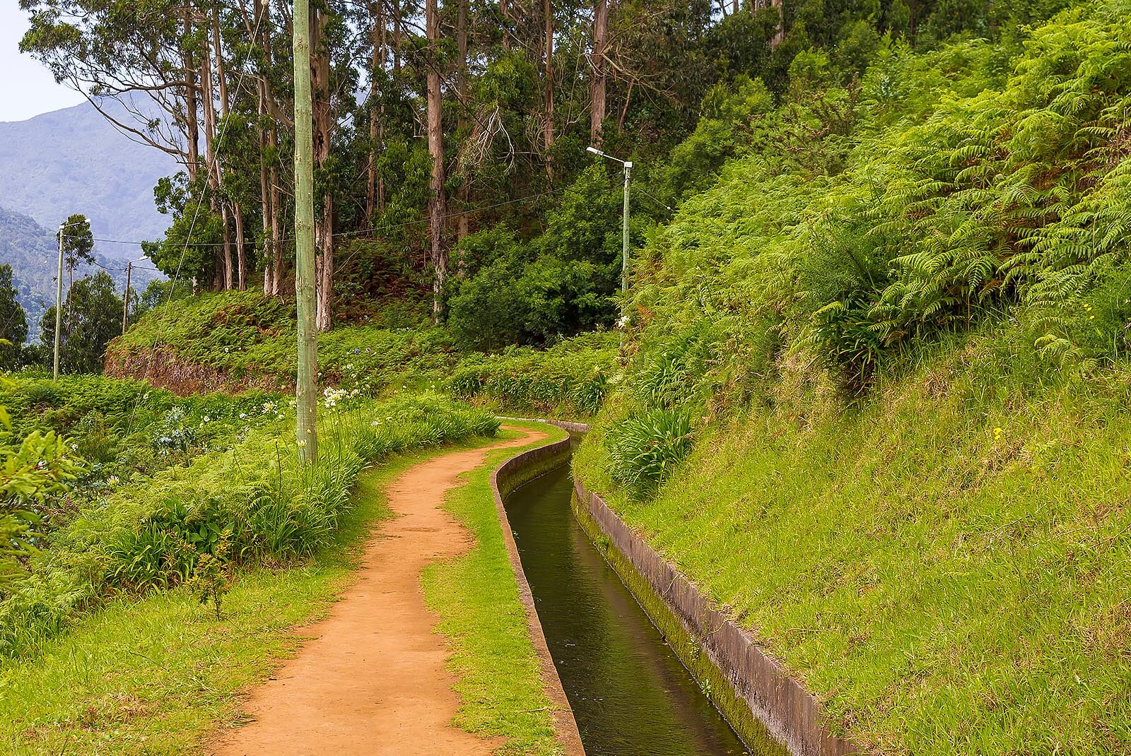 LEVADA DA PONTA DO PARGO