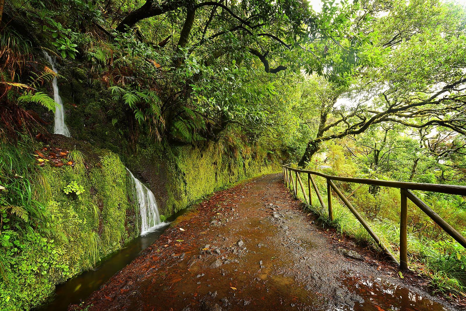 LEVADA PICO DAS PEDRAS
