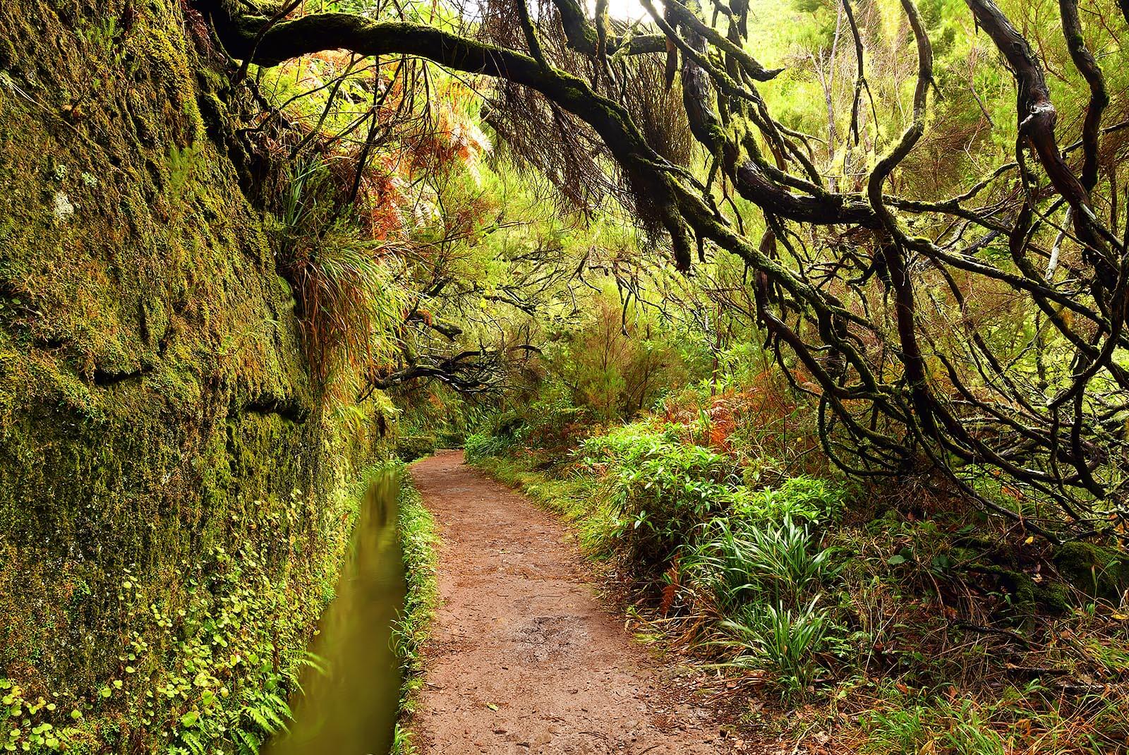 LEVADA DA FAJÃ RODRIGUES
